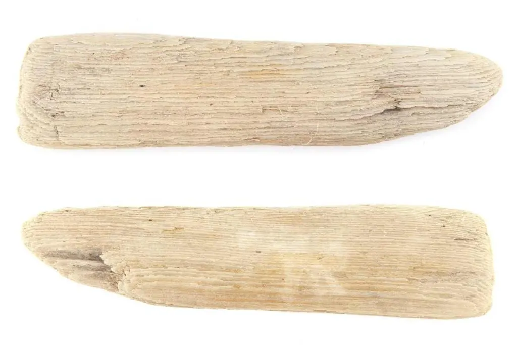 Drift Wood