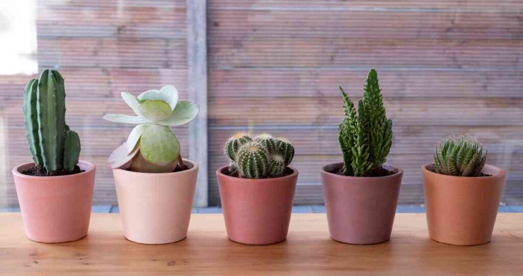 chalk paint flower pots
