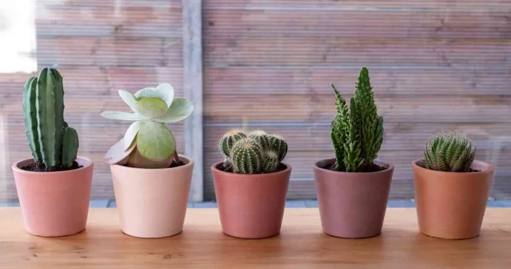 chalk paint flower pots