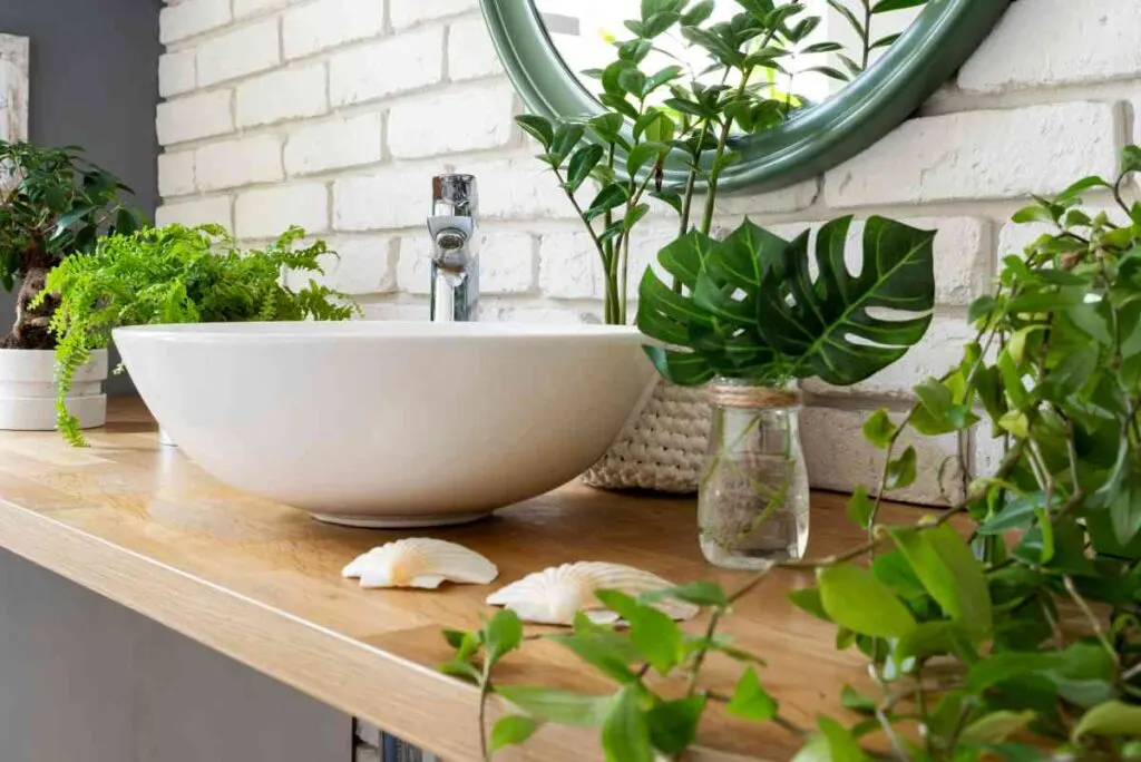 Decorating a Bathroom with Plants