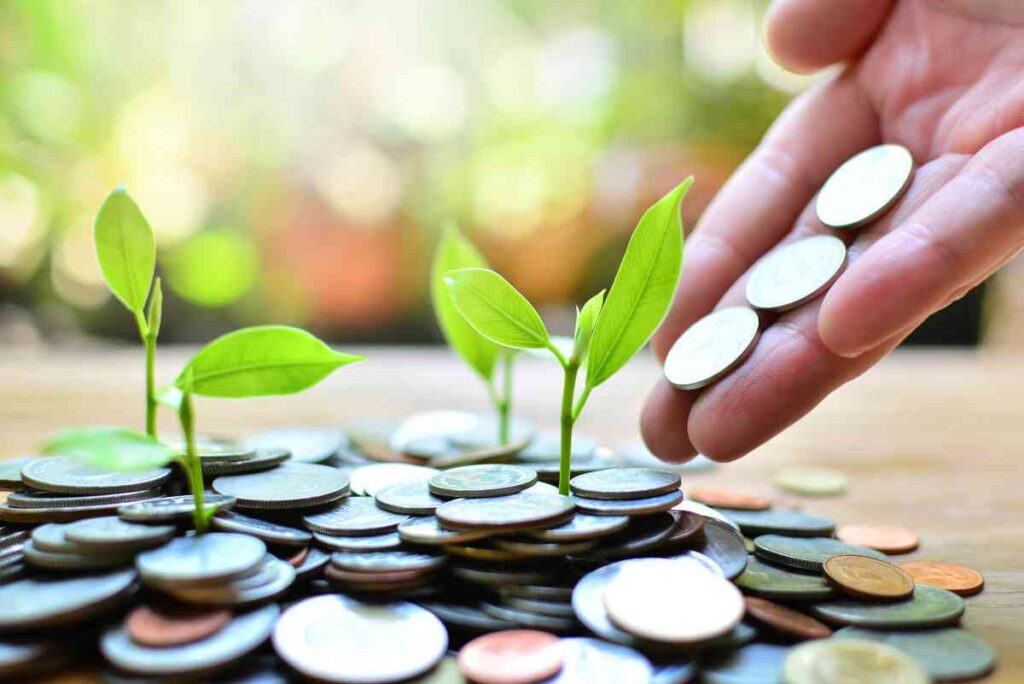 Financial Investment. Money to growth