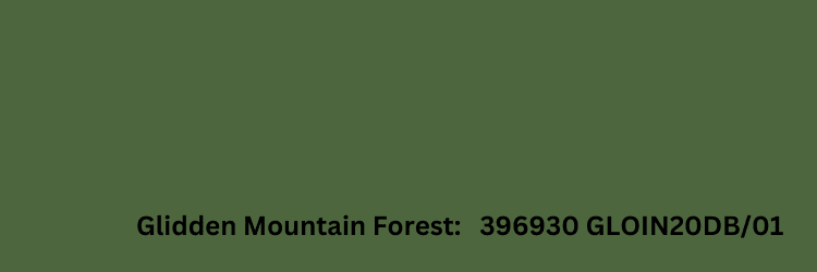 Paint chip of Glidden Mountain Forest