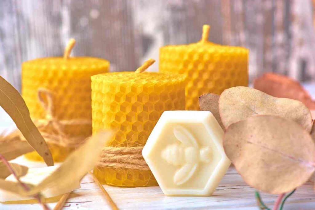Beeswax molds and samples for how to make beeswax candles