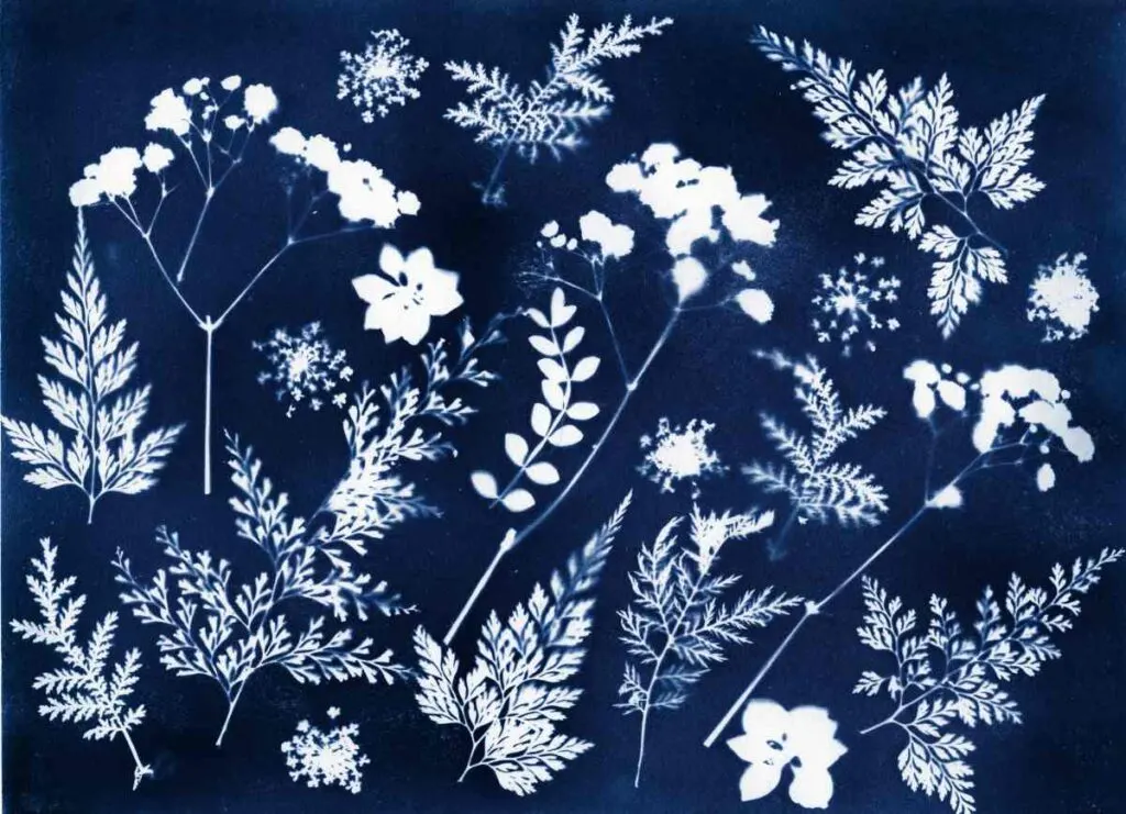 Wall art created using sun print paper