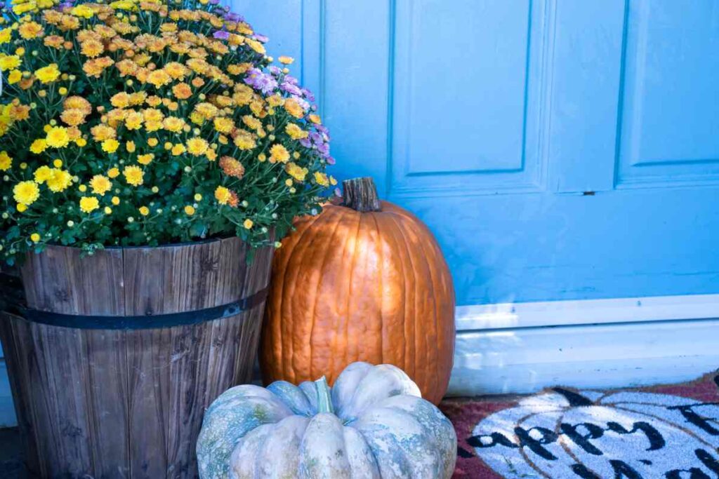 Yellow mums in a barrel planter, orange and blue pumpkins, and a fall rug for front porch decorating