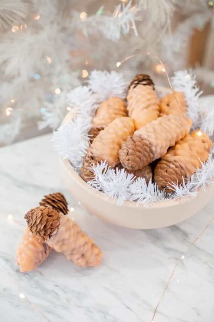 Fire starters made out of pine cones