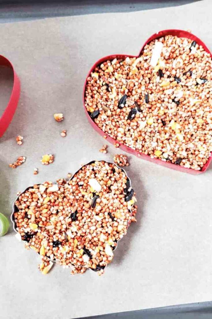 Pressing birdseed into an cookie cutter shape
