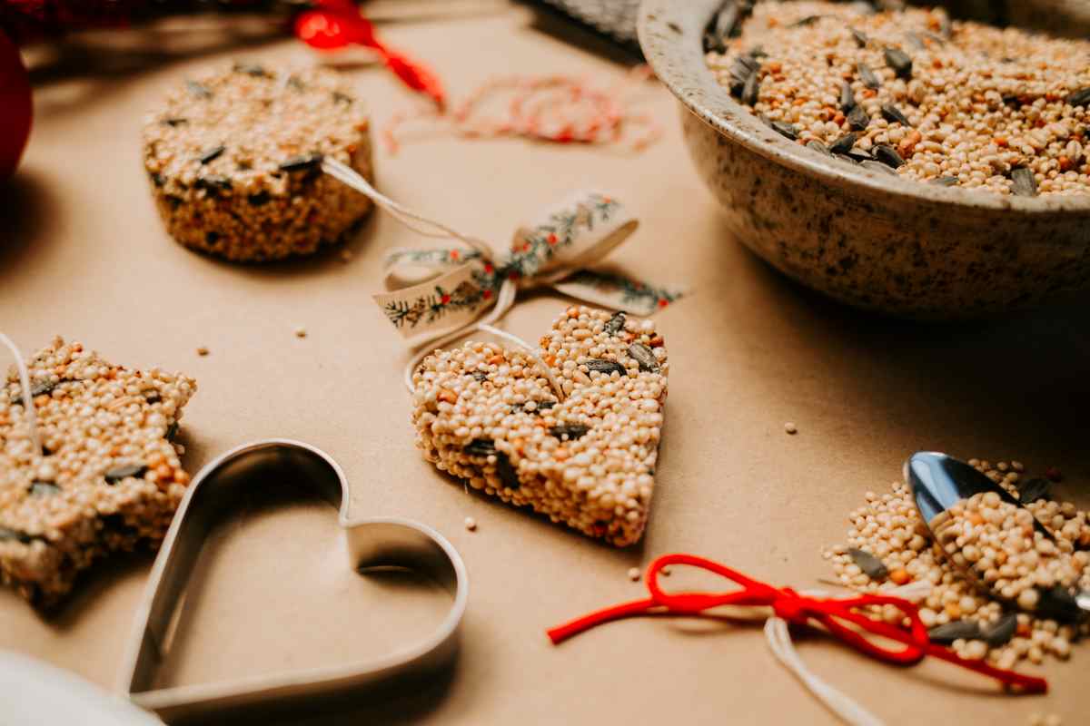 Bird seed ornament is just one of many winter craft ideas