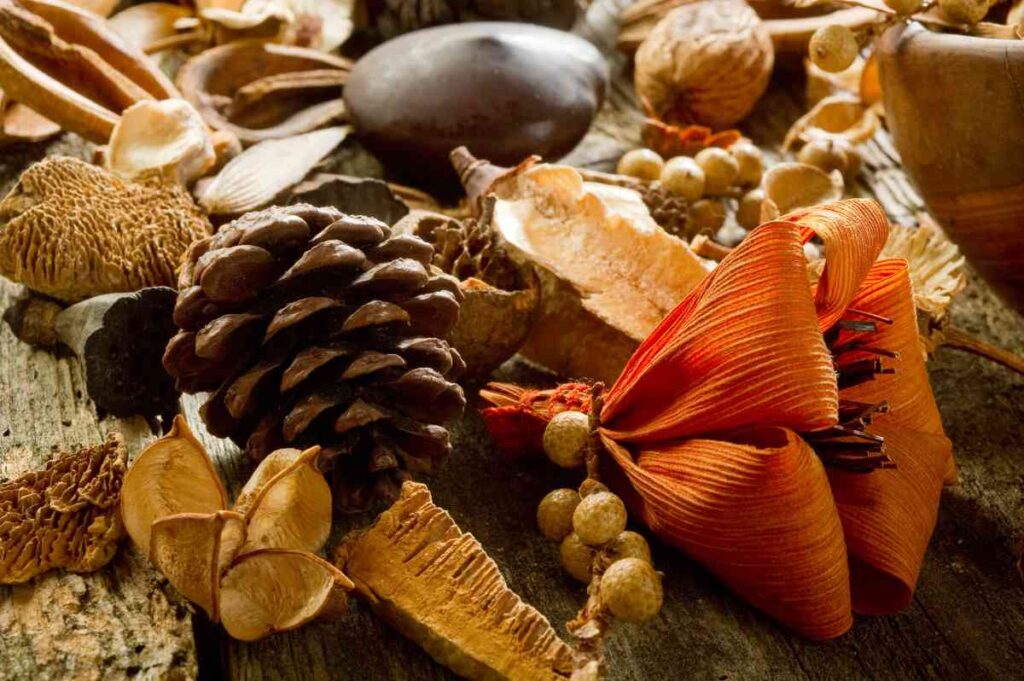 Fall potpourri display with pinecones and bows