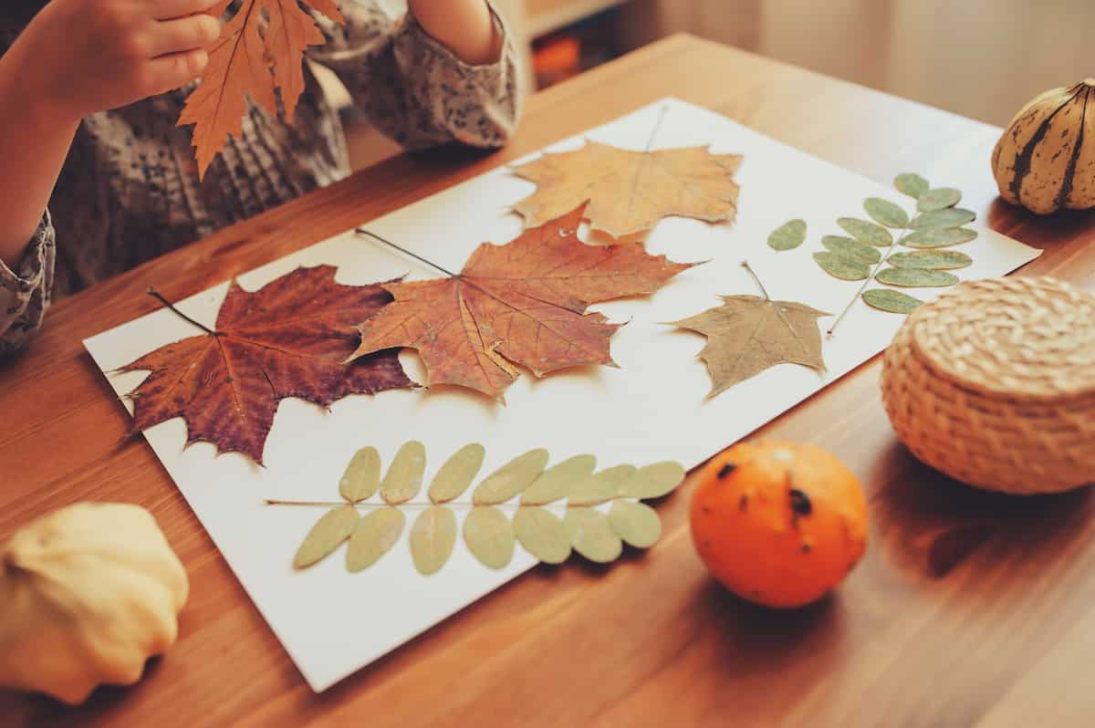 fall leaves crafts